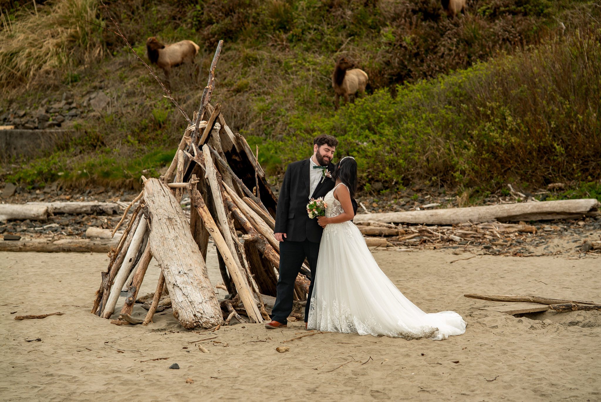 couple eloping on Cannon Bech. oregon. Elk wandering on the ebach